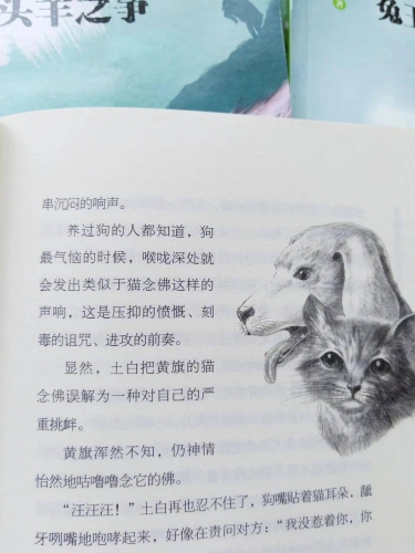 国产小说创作中的情感表达与文学价值探讨