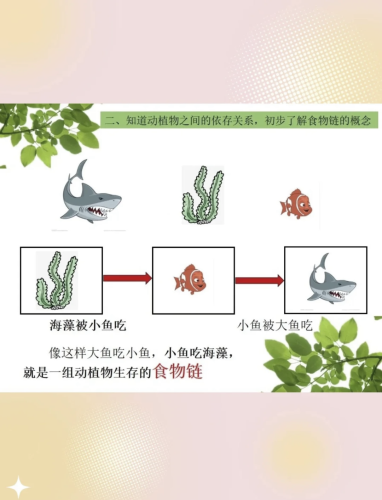 大鱼吃小鱼双人版，策略与冒险的完美结合大鱼吃小鱼双人版下载安装