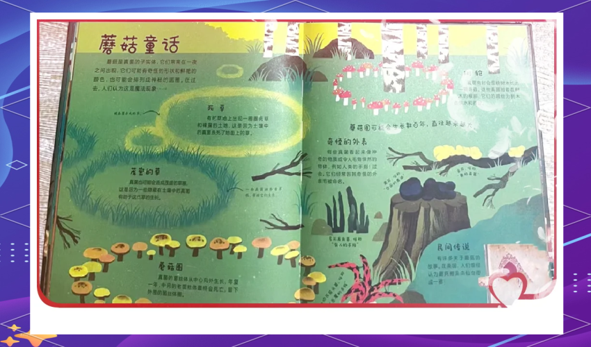 园内精品自拍视频在线播放，探索自然与艺术的完美结合