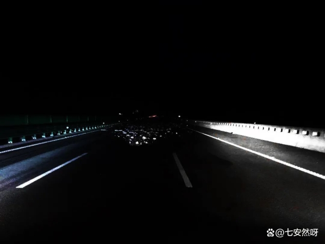 午夜老司机经典，探索深夜驾驶的独特魅力与文化