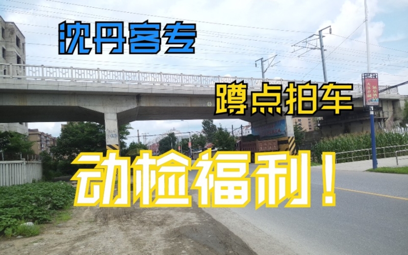 国产福利观看，深度解析中国福利政策的现状与未来国产的负费拍福利短视