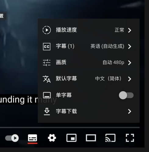五月婷婷丁香综合中文字幕，影视翻译与文化交流的新篇章