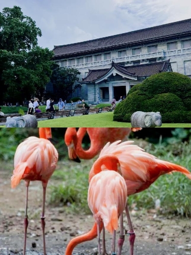日本不卡免费新一二三区，探索日本文化与旅游的独特体验