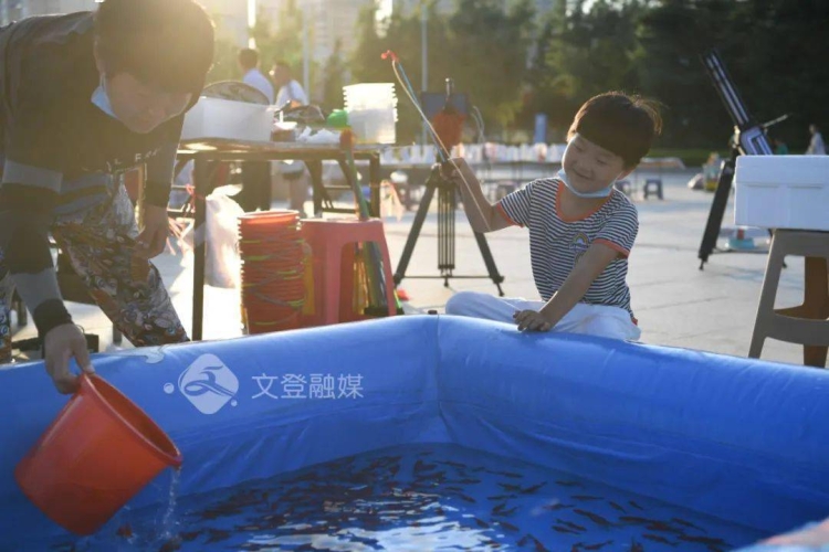 2020年新闻资讯，天天躁动夜夜不停，天天精彩不断