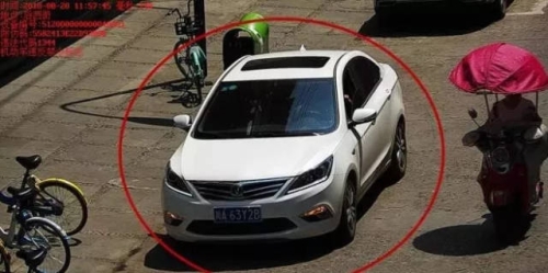 无码又爽又刺激免费视频推荐