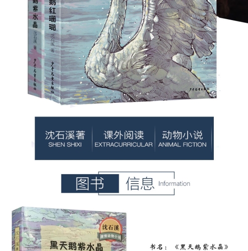 亚洲区小说区激情区图片区深度报道亚洲区小说区激情区图片区 S888AV