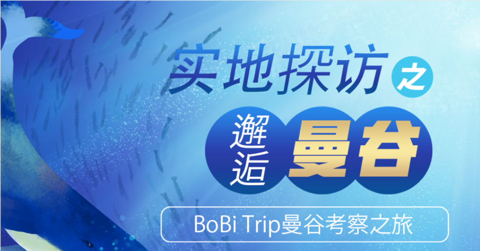 国内自产精品视频在线观看，探索数字时代的影视新纪元