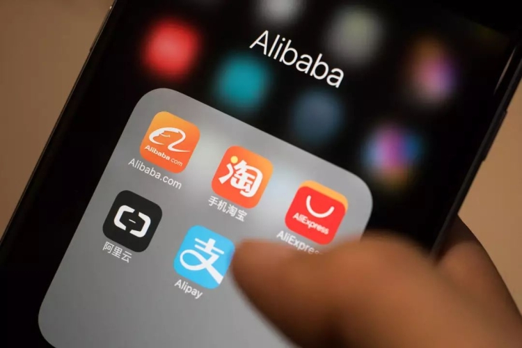 中文成人在线，探索网络世界的多元魅力在线人成c