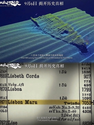 深度解析，国产影视作品的正版获取渠道与版权保护重要性