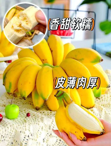 -国产香蕉产业观察，从精品化路线看中国热带水果的转型升级（深度2400+字分析）香蕉久久精品国产一区