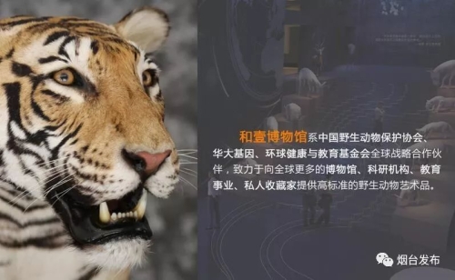 （第一部分，色彩的文化基因 约500字）