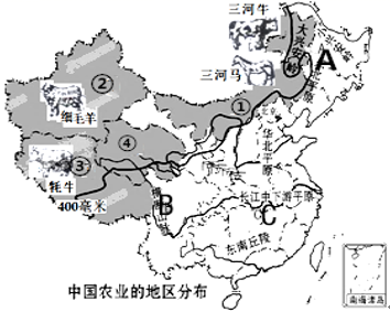 以下是我的建议方案，中国自然保护区发展现状，从一区到多区协同保护的生态之路