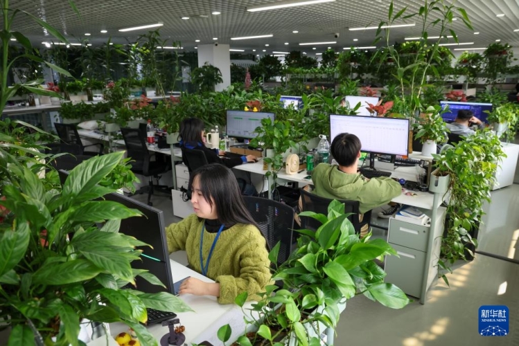 1024国产精品，探索国内高质量的数字资源平台逹葢薾的旗帜2025地一地址二