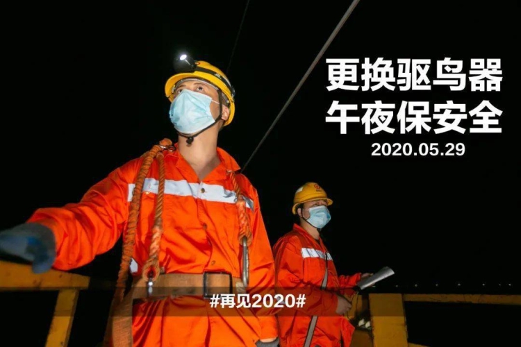 亚洲午夜精品一线，探索深夜经济的繁荣与挑战亚洲午夜精品一线天免费视频