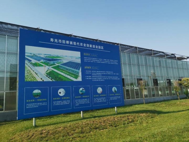 第一章 现象溯源，免费精品模式的崛起（约600字）