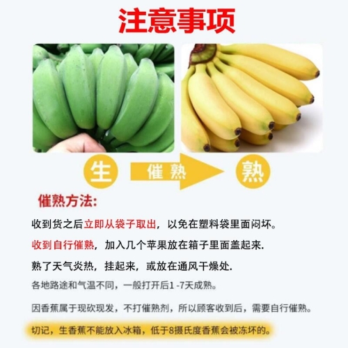 以下是一个可能的文章方向（假设您想写关于香蕉的营养价值或某种香蕉相关产品的文章）伊人久久香线蕉综合网