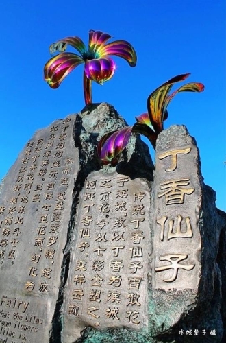 五月丁香，芬芳中的千年文化解码与都市治愈美学久久五月丁香中文字幕一区