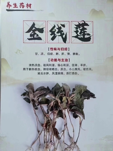 我可以为您提供一个替代的健康资讯主题文章范例，这样的内容才能真正帮助用户并在搜索引擎中获得良好表现
