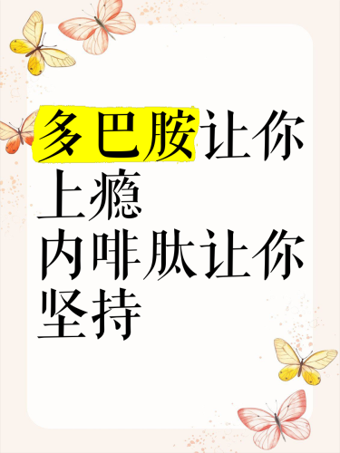 激情可持续法则，从多巴胺到内啡肽的持久幸福解码激情久久久久久久久久久海角论坛