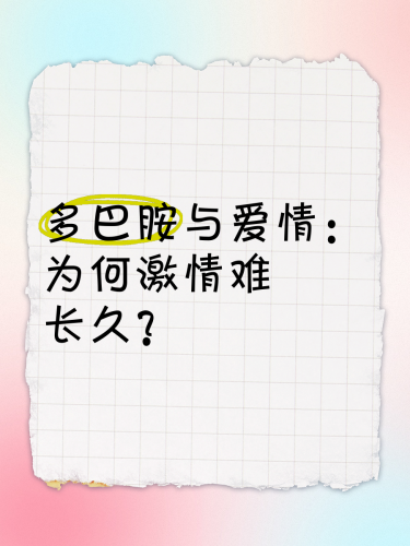 激情可持续法则，从多巴胺到内啡肽的持久幸福解码激情久久久久久久久久久海角论坛