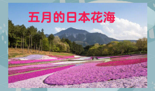 五月出游亚洲，开心探索成人综合娱乐胜地