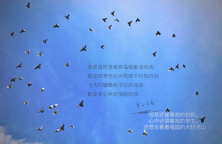 揭秘这里只有精品97，网络精品资源的背后故事这里只有精品97超碰
