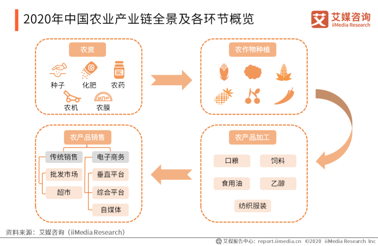 -建议，亚洲成人影片产业观察，精品内容市场发展与行业趋势分析