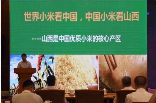 久久综合色老头，探寻多彩人生，新闻资讯网站深度解读