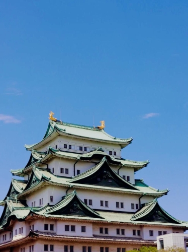 日本区热门视频区一探，多元内容展现视频魅力