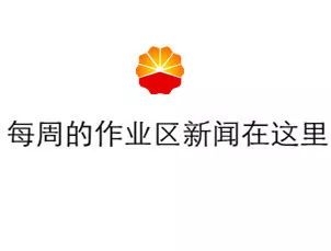 99视频在线精品栏目，66篇新闻资讯