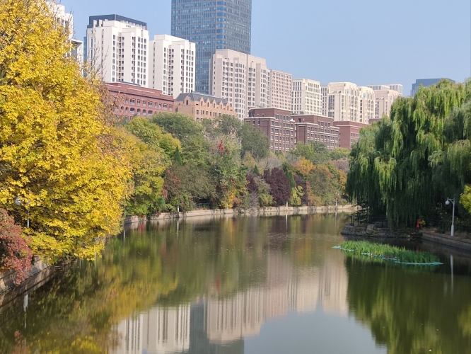 国产91色在线，缤纷多彩的世界
