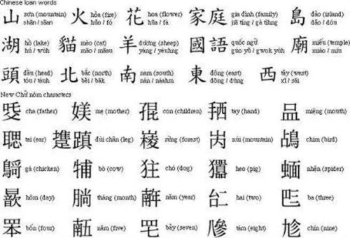 中文无码在线观看，探索数字时代的影视新世界