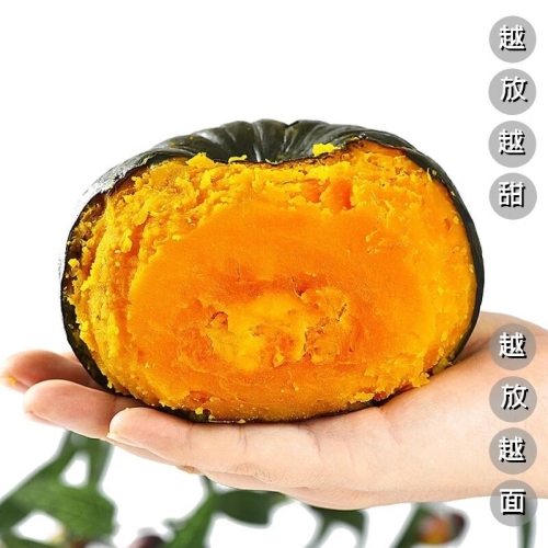 国产精品啪啪视频，2023年新闻资讯