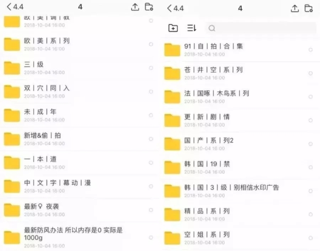 亚洲黄片，探索神秘诱惑的诱惑力亚洲黄片久久久久久久久久鸭子