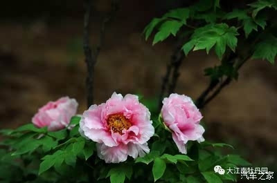 揭开久久久久国色aⅴ的神秘面纱，免费看新闻资讯的全新体验