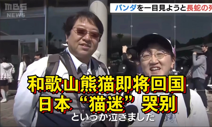 中文字幕无码高分辨率AV视频内容
探索中文字幕无码高分辨率AV视频的世界