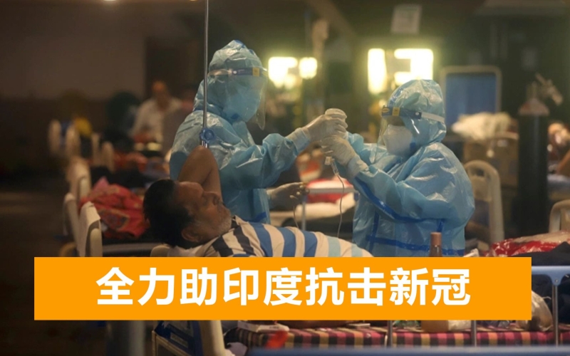 午夜激情，印度成人5G在线视频免费观看