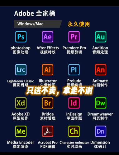 亚洲成人影院在线，探索沉浸式娱乐新体验免费的短视频app大全下载安装