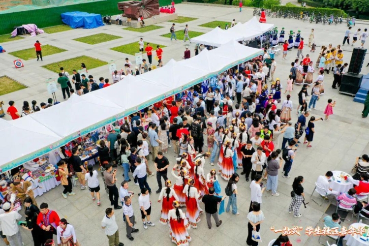 韩日亚洲精品视频，文化交流的新篇章