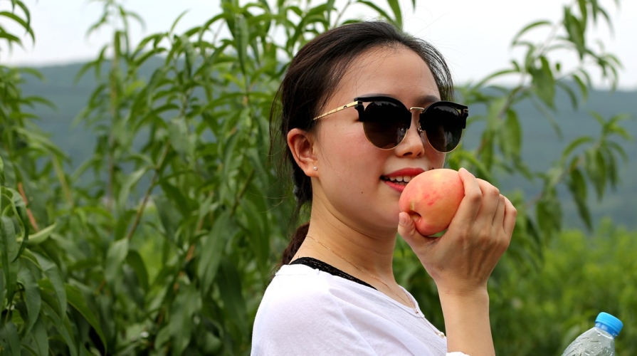 亚洲精品成人内容推荐，A V久臂桃的独特魅力