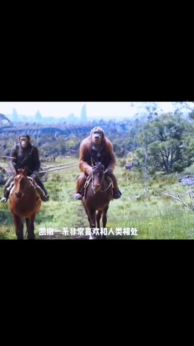 精品久久免费观看，探索网络影视新世界
