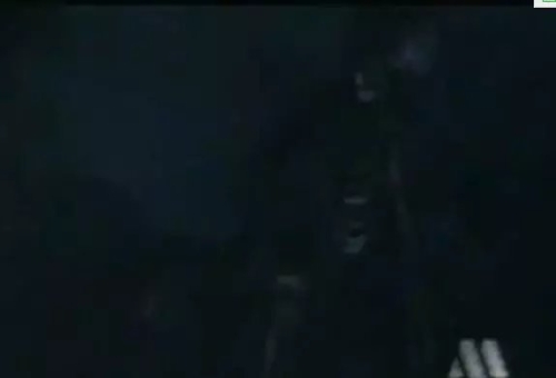 免费一级片网站，影视资讯与观众福利的双重盛宴