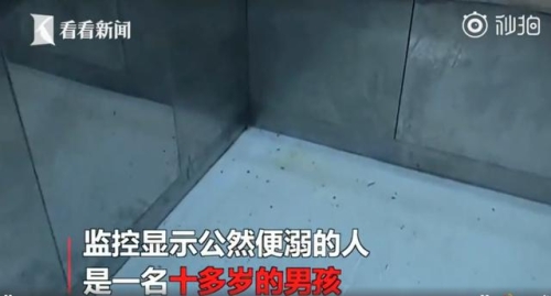 无码免费看二，新闻资讯网站上的角色设定