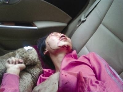国产免费看无码，新闻资讯网站角色设定