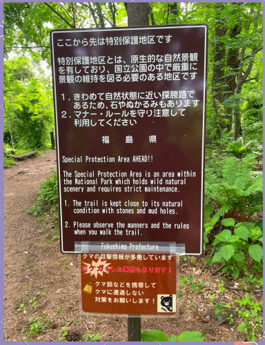 日本免费高清一区二区三区，探索多元文化与娱乐新风尚