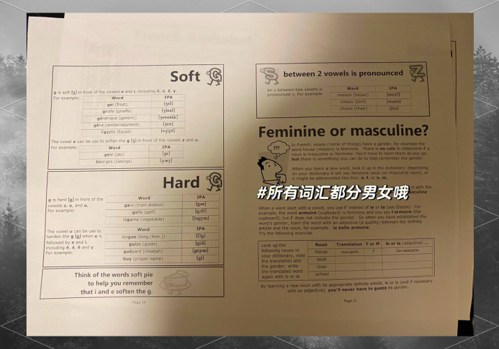成人免费无码视频在线看，探索健康与安全的视频内容