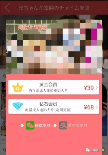 中文字幕黄片免费看，新闻资讯网站热门角色设定