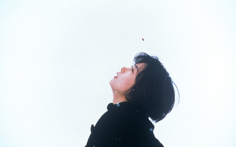 女人天堂在线日本，探索日本女性文化的魅力